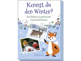 Kennst du den Winter