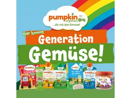 pumpkin organics Bio Erdbeere Fruchtchips