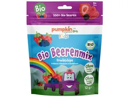 pumpkin organics Bio Beerenmix Fruchtchips