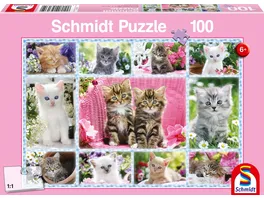 Schmidt Spiele Kinderpuzzle Katzenbabys 100 Teile