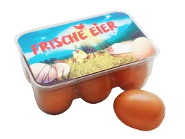 Tanner 6 Eier aus Kunststoff in Eierbox