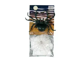 Fries Spinne mit Netz ca 6 g