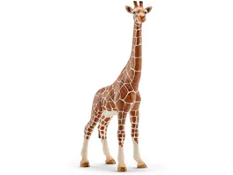 Schleich 14750 Wild Life Afrika Giraffenkuh