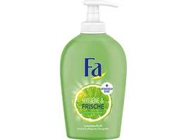 FA Fluessigseife Hygiene Frische Limetten Duft 250ml