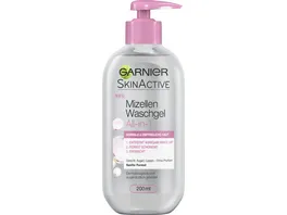 Garnier Skin Active Mizellen Waschgel All in 1