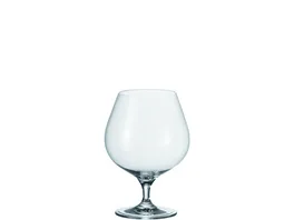 LEONARDO Schwenker Cheers Bar 700 ml