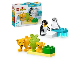 LEGO DUPLO Town Wildtier Familien Pinguine und Loewen Tierset 10442