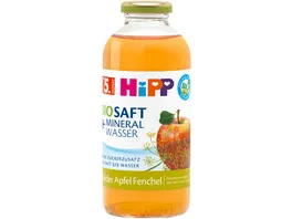HiPP BIO Saft und Mineralwasser 0 5 l Milder Apfel Fenchel ohne Zuckerzusatz ab 5 Monat