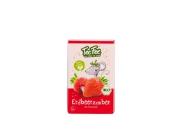 TeeFee Bio Fruechtetee Erdbeere