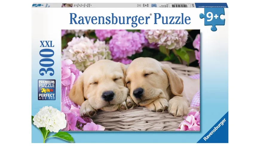 Ravensburger Puzzle 300 Teile Süße Hunde im Körbchen Kinderpuzzle im XXL-Format 