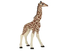 Papo Giraffenjunges 14 cm