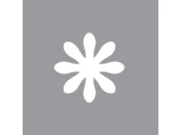 Rayher Motivstanzer Gaensebluemchen 1 6 cm