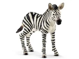 Schleich 14811 Wild Life Zebra Fohlen