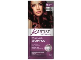 ARTIST Professional Toenungsshampoo