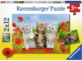 Ravensburger Spiel Katzen auf Entdeckungsreise 12 Teile
