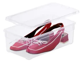 rotho Clearbox Klarsichtbox Lady Shoe