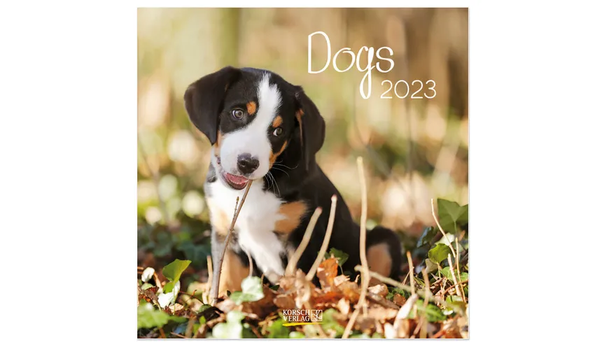 Dogs 2022 - Broschürenkalender mit Ferienterminen