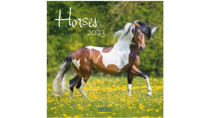 Horses 2022 - Broschürenkalender mit Ferienterminen