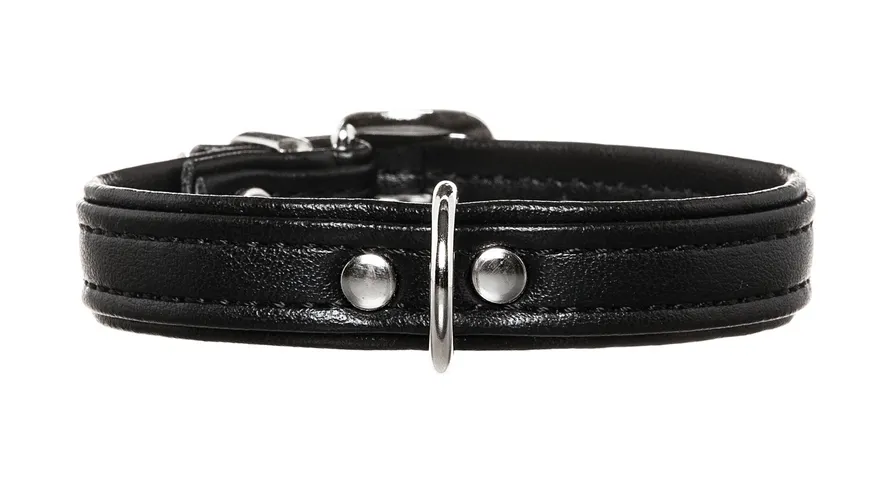Hunter Halsband Modern Art für Hunde, Farbe: schwarz/schwarz, Größe: 27/11, Maße: 20,0 - 23,5 cm