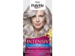 POLY PALETTE Intensiv Creme Coloration 240 10 91 Pudriges Silberblond