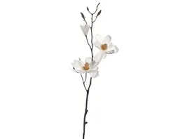 LEONARDO Magnolie 80cm weiss Fiore