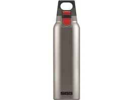 SIGG Trinkflasche Stainless Hot Cold ONE Brushed 0 5l
