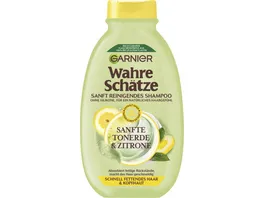 GARNIER Wahre Schaetze Erfrischendes Shampoo Tonerde Zitrone