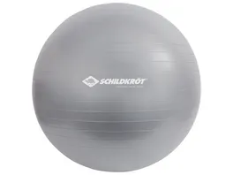 Schildkroet Fitness Gymnastikball 55 cm phthalatfrei mit Ballpumpe silber