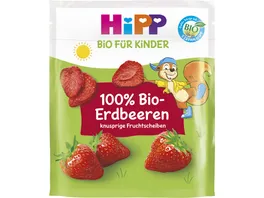 HiPP Knabberprodukte BIO fuer Kinder 100 Bio Erdbeeren 10g Kinder 3