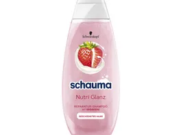 SCHAUMA Shampoo Natur Momente Haar Smoothie Erdbeere Banane Chia Samen