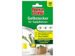 Nexa Lotte Gelbstecker