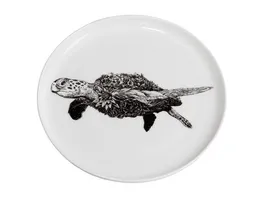 MAXWELL WILLIAMS Marini Ferlazzo Teller Green Sea Turtle 20 cm