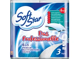 SoftStar Kuechentuecher Professionell 2x70 Blatt