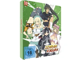 Senran Kagura Gesamtausgabe Episode 01 12 2 DVDs Steelcase Edition