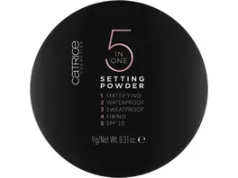 Catrice 5 in 1 Setting Powder 010 Transparent