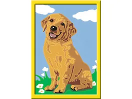 Ravensburger Beschaeftigung CreArt Malen nach Zahlen 28511 Kleiner Golden Retriever Kinder ab 7 Jahren