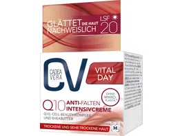 CV VITAL Anti Falten Q10 Intensivcreme