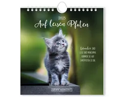 GRAFiK WERKSTATT Postkartenkalender 2022 Auf leisen Pfoten