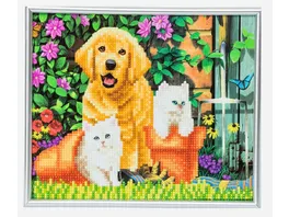 Craft Buddy Crystal Art Diamond Painting Picture Frame Kit Katze und Hund 21 cm x 25 cm