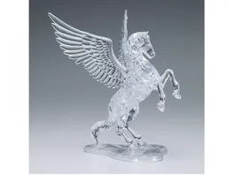 HCM Kinzel Crystal Puzzle Pegasus