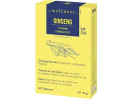 The Wellness Co Ginseng Vitamine Mineralstoffe