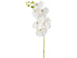 GILDE Deko Orchidee Satin 106cm