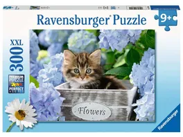 Ravensburger Puzzle Kleine Katze 300 XXL Teile