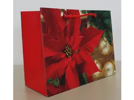 Geschenktuete Weihnachtsstern 18x23x10cm