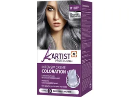 ARTIST Professional Intensiv Creme Coloration Silbergrau 111 Level 3