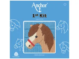 Anchor Stickset 1st Kit Dylan das Pony