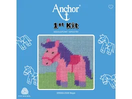 Anchor Stickset 1st Kit Megan das Pony