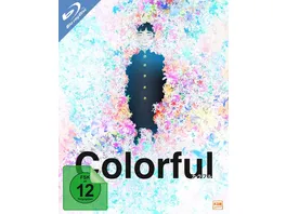 Colorful Collector s Edition