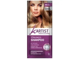 ARTIST Professional Toenungsshampoo