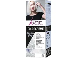 ARTIST Professional Colorceme Silverfox Grey